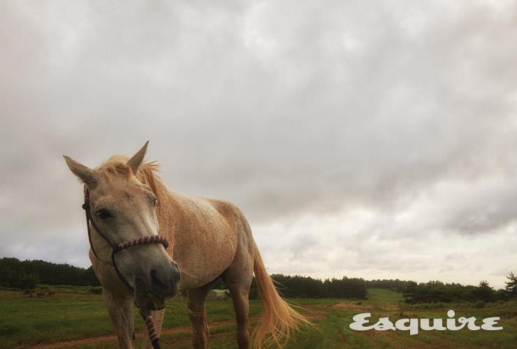 지나가 카메라를 든 포토그래퍼 앞으로 다가와 코를 들이밀었다. 동물들에게 이건 첫인사나 다름없다. 