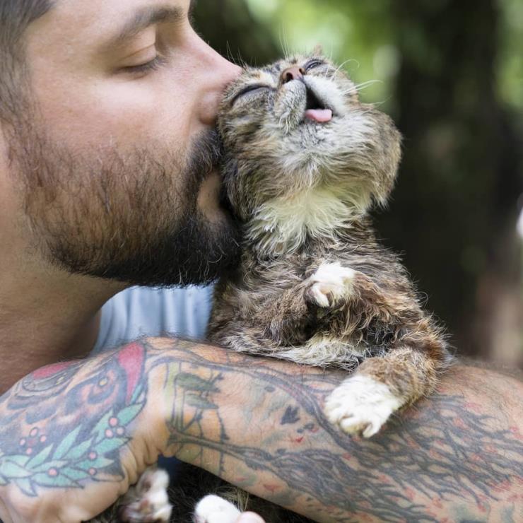 릴법 (@iamlilbub)