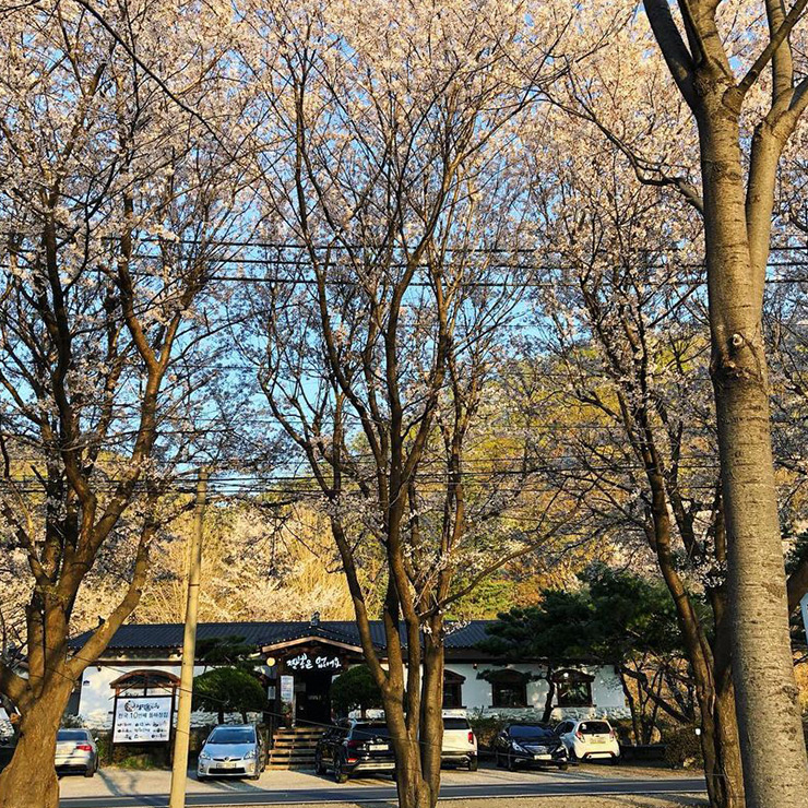 청평돌짜장(@doljjajang__cheongpyeong)