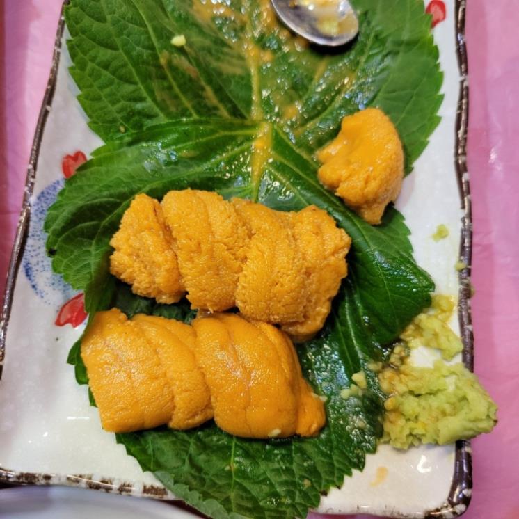 남해바다마차