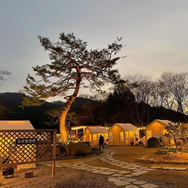 @orbitgarden0615
