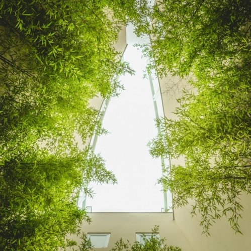 @dearc_resort