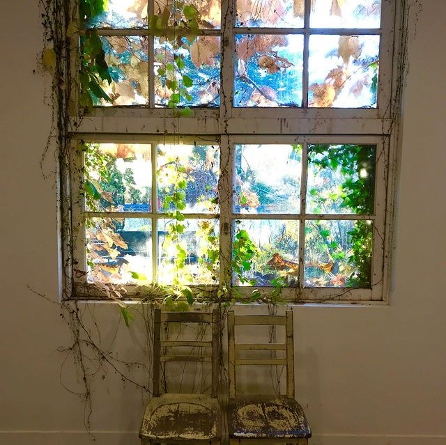 @ami_art_museum
