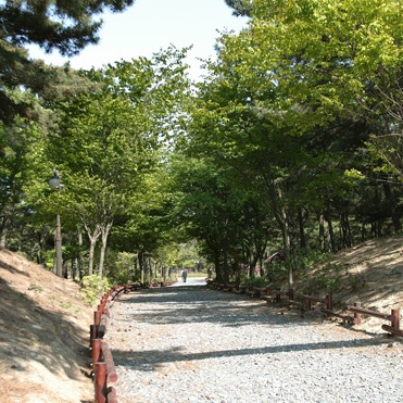 장항송림산림욕장