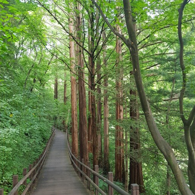 청계산맑은숲공원