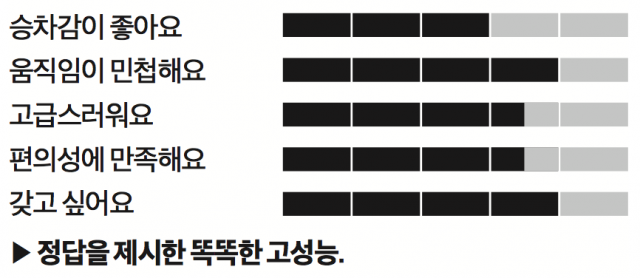 골프 R - 에스콰이어