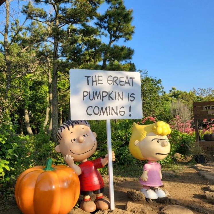 @snoopygardenkorea