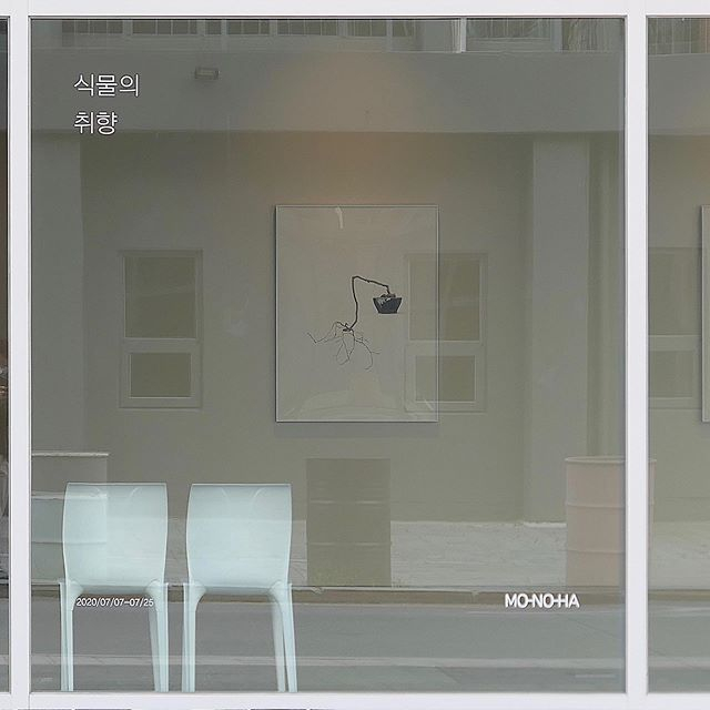 @monoha_official
