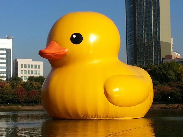 @rubberduckproject