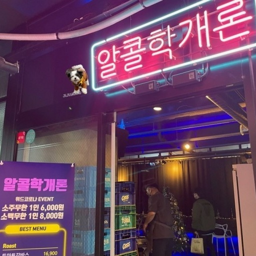 알콜학개론