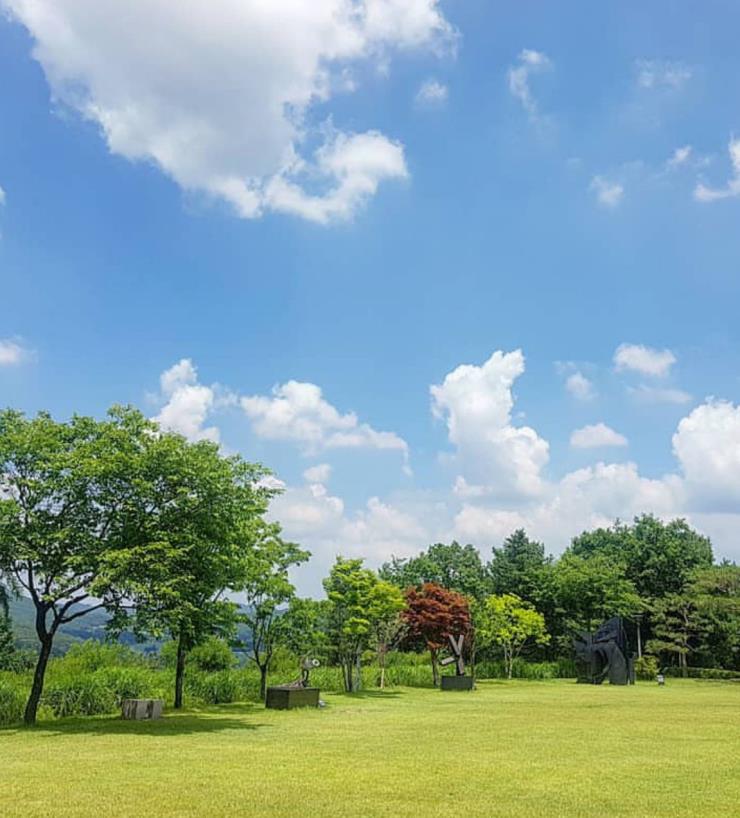 뮤지엄 산 카페 테라스