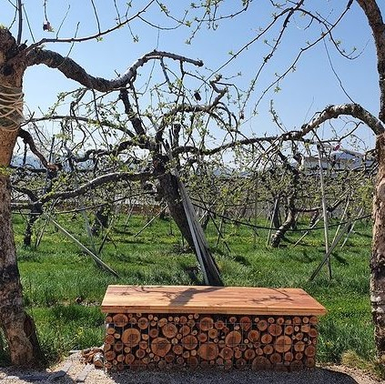 @happlescider
