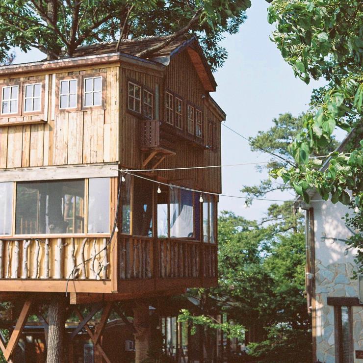 @treehouse_korea