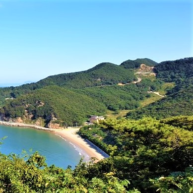 서풍받이