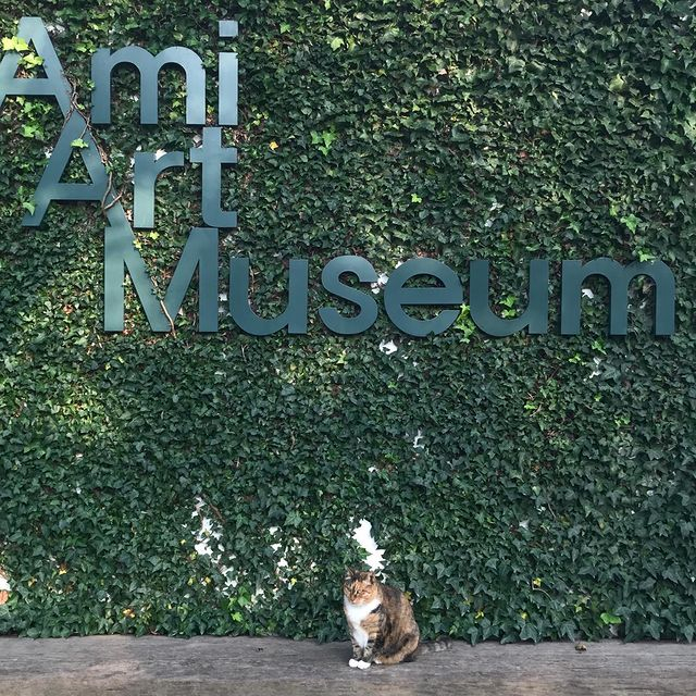 @ami_art_museum