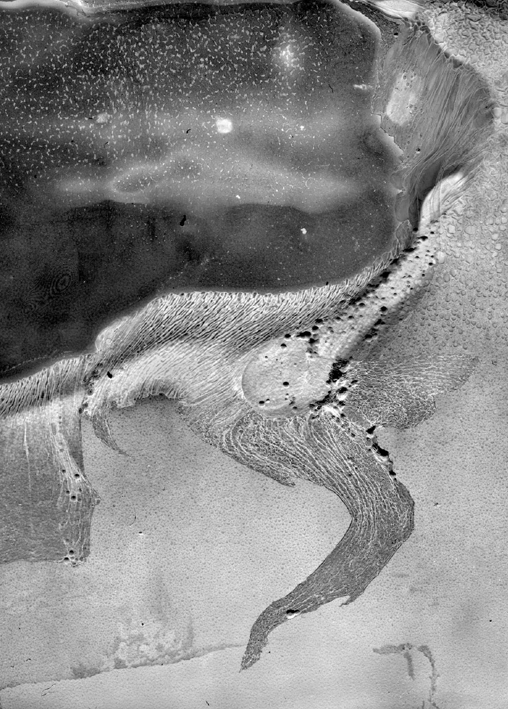 Daisuke Yokota, ‘Untitled’ from <Matter/Burn Out>, 2016.