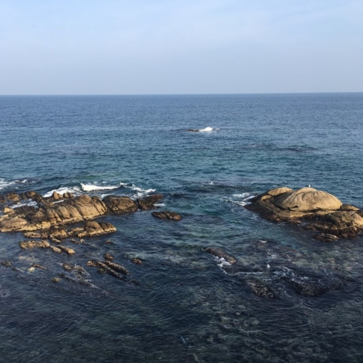 주문진, 방파제회센타