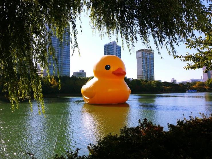 @rubberduckproject