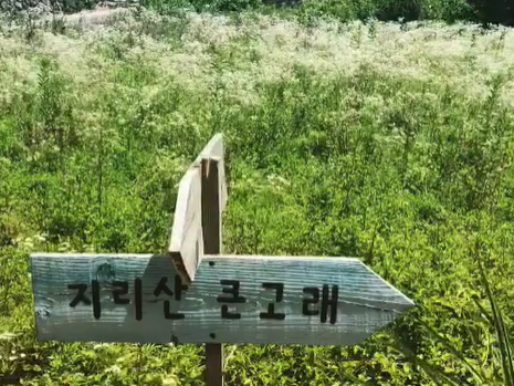 @withwhalesoul