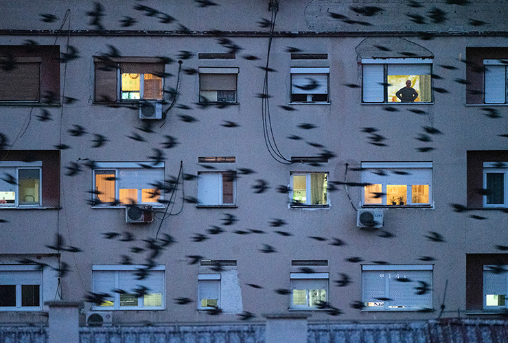 NORTH MACEDONIA. 2020. Veles. Apartment building at dusk.