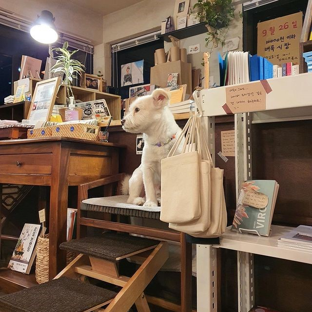 @notjust_books