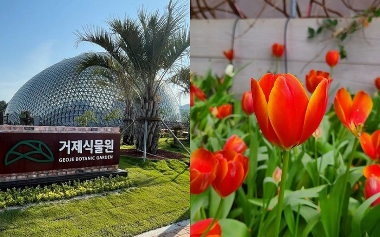 거제식물원 정글돔(좌), 아산세계꽃식물원(우)