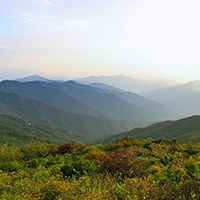 더 케이 호텔 서울