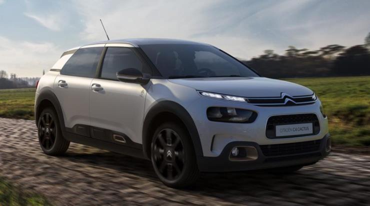 C4 Cactus