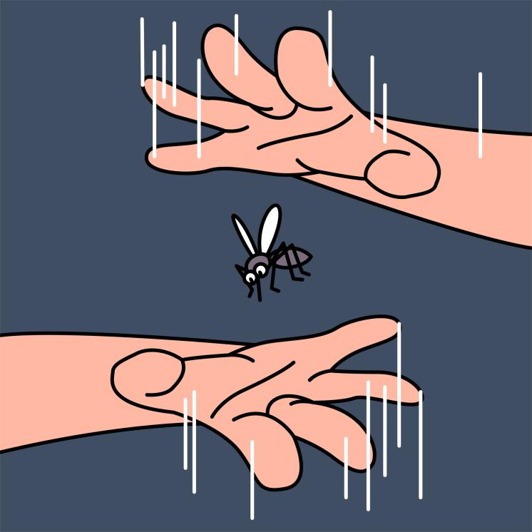 모기와의 전쟁