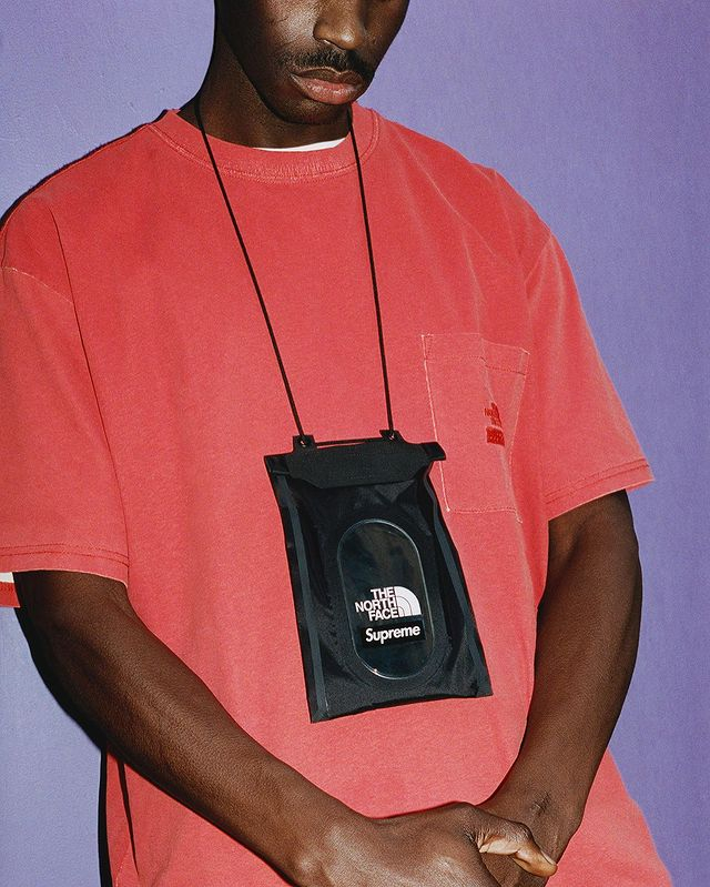 the northface x supreme