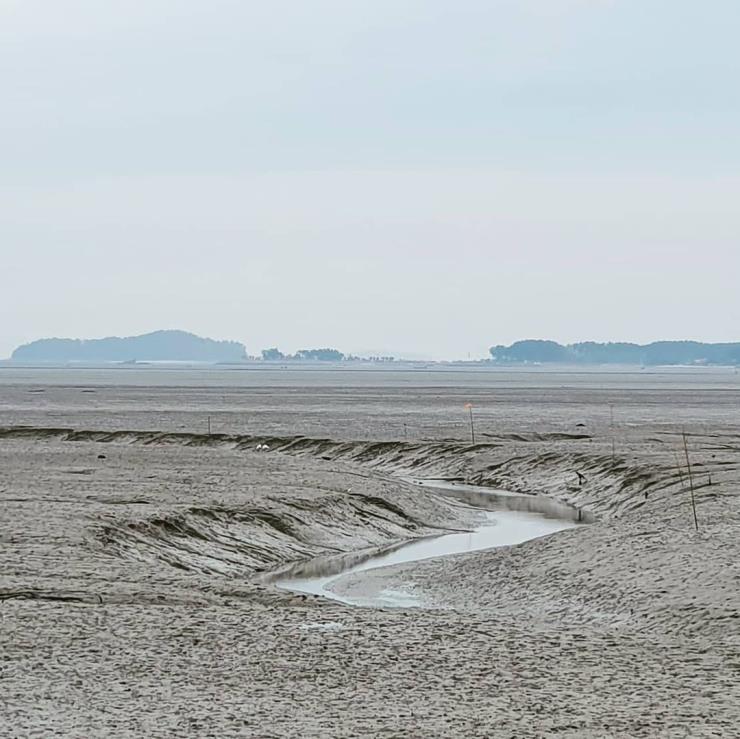 충남 서천 해안도로