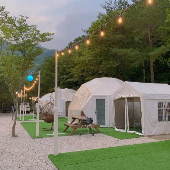 @campforett