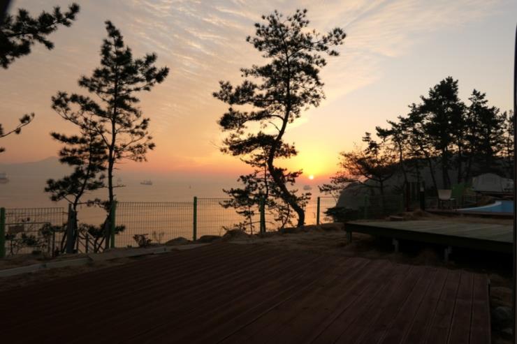 더스타 오토캠핑장