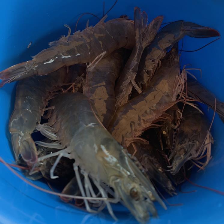 대하수산 외식공간