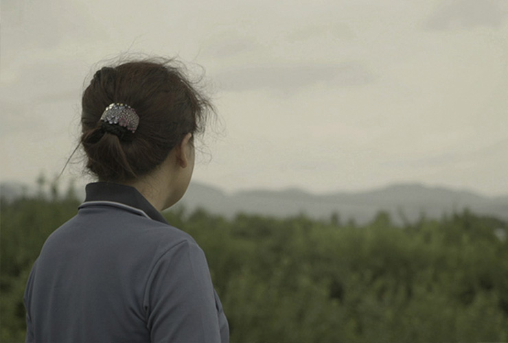 <그림자꽃> 2019