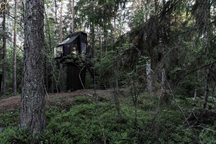 koja treehouse