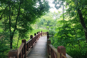 출처 : 경기농정 사이트