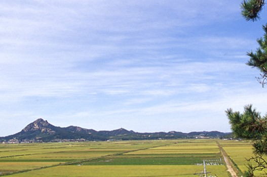 진도, 금골산