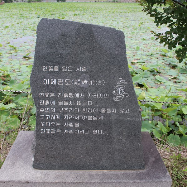 ⓒ청도군청 공식 블로그
