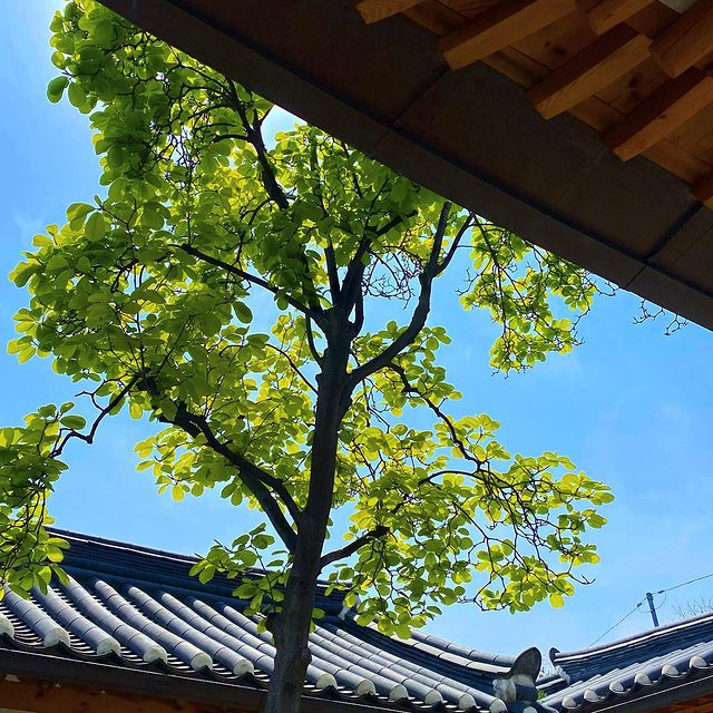 @seoulbrhouse