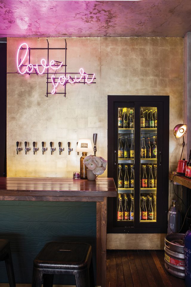 사우어퐁당, 크래프트 맥주, 샤워 맥주 - 에스콰이어