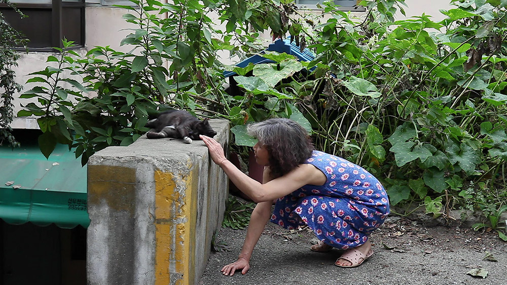아르코미술관 / 홍이현숙, 석광사 근방