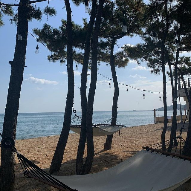 @pohang_thehaven