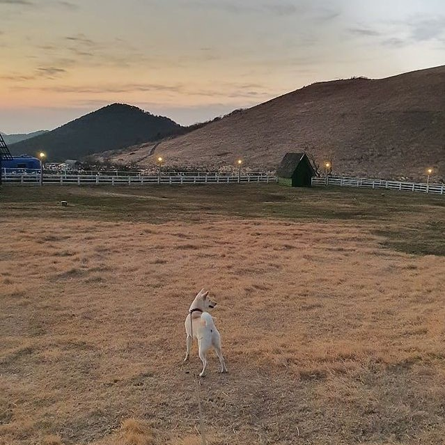 @heyyo_farm_jeju