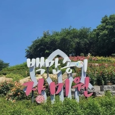 백만송이 장미원 