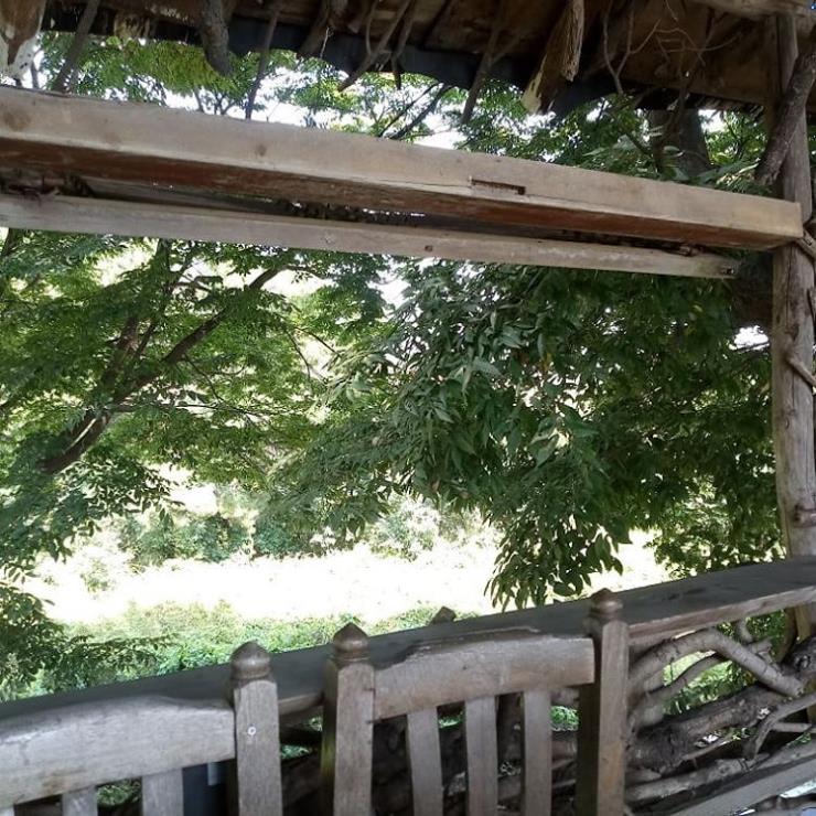 @mizuno_tree_house