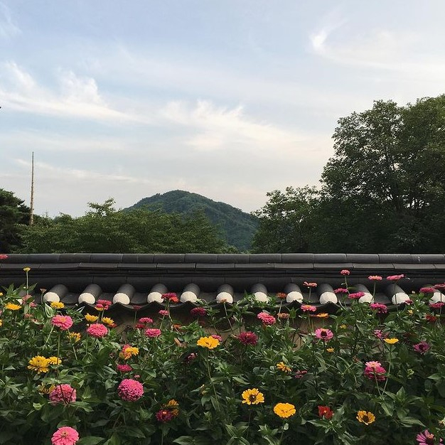 @uisungseodang