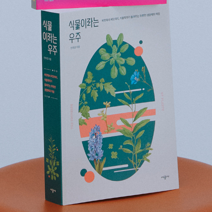 안희경 / 시공사