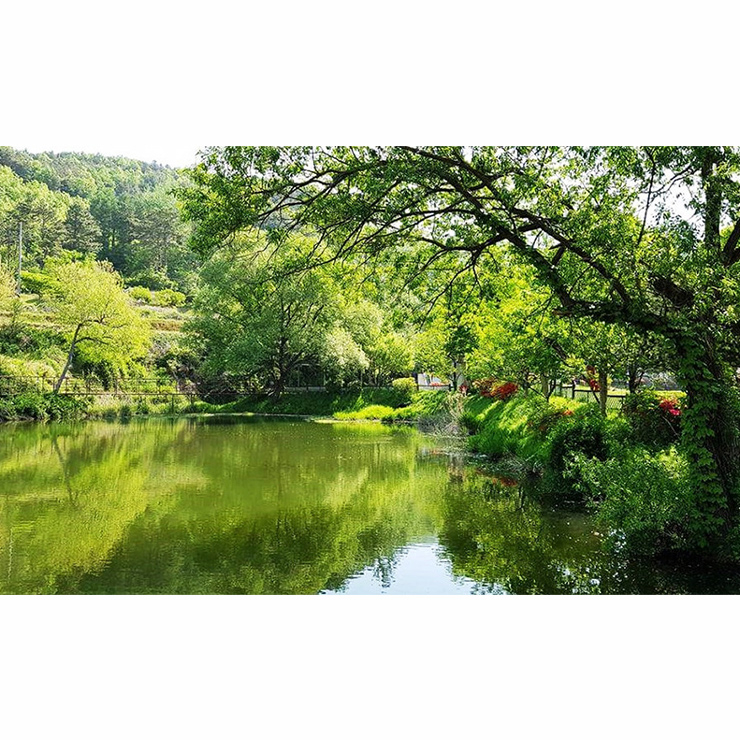 공주 임립미술관
