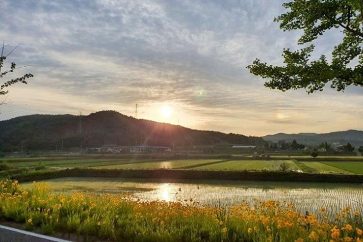 여주시청 공식블로그